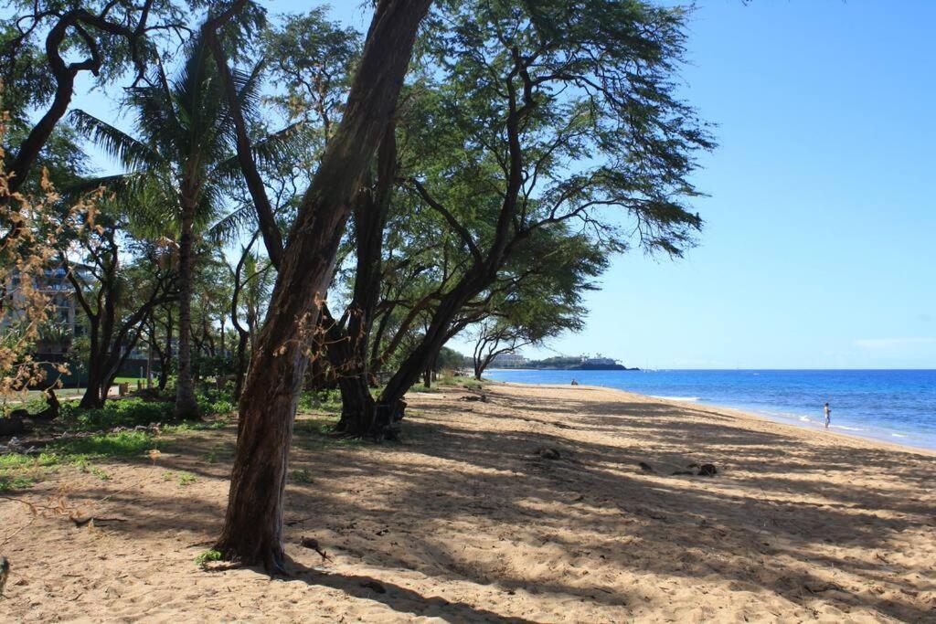 להיינה Ocean View One Bedroom At Honua Kai!! מראה חיצוני תמונה
